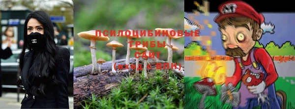 спайс Аркадак