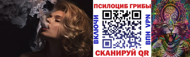 Галлюциногенные грибы Cubensis  Полярные Зори 